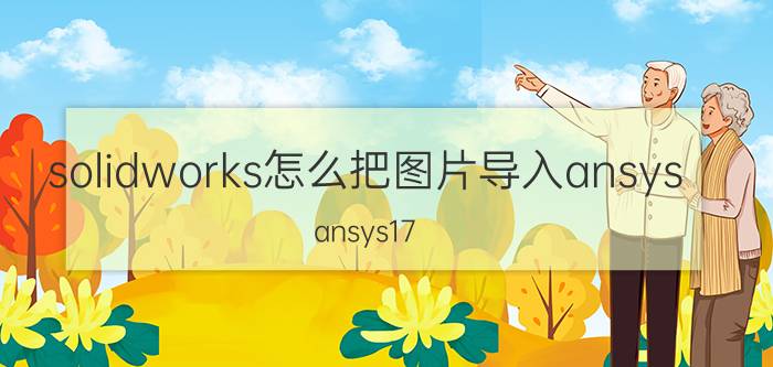 solidworks怎么把图片导入ansys ansys17.0如何打开solidworks装配体？